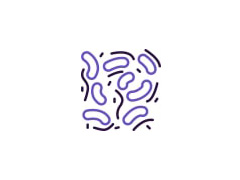 Նուկլեինաթթուներ և ածանցյալներ DC Fine Chemicals